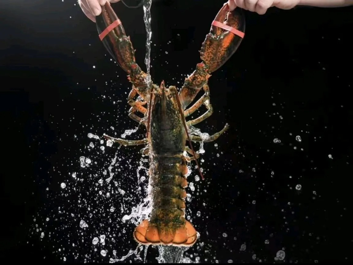 湛江海鲜